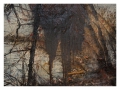 The acquisition of Anselm Kiefer’s “Aurora”